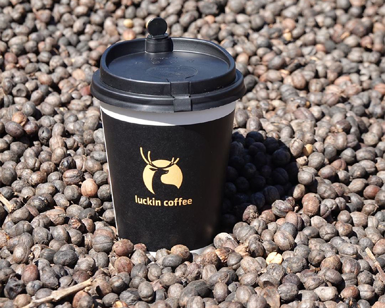 瑞幸咖啡怎么加盟，瑞幸加盟费用明细表2025